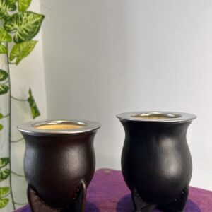 Camionero acero uruguayo