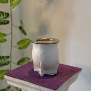 Camionero acero blanco