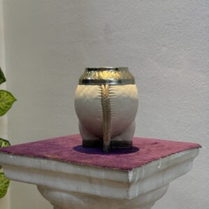 Torpedo crudo base completa